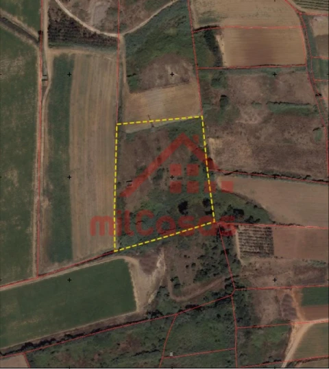 Terreno Agricola ou Rústico para Venda em Atouguia da Baleia
