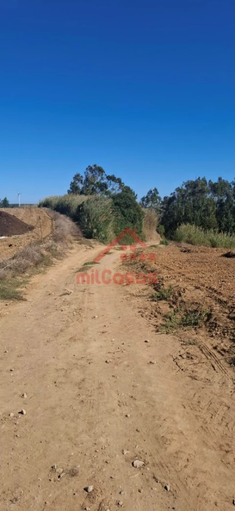 Terreno Agricola ou Rústico para Venda em Atouguia da Baleia