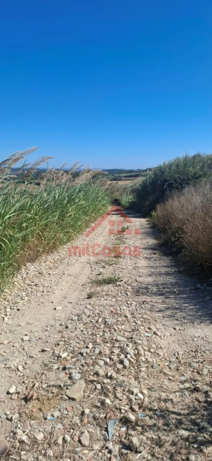 Terreno Agricola ou Rústico para Venda em Atouguia da Baleia Foto 3