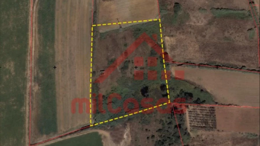 Terreno Agricola ou Rústico para Venda em Atouguia da Baleia