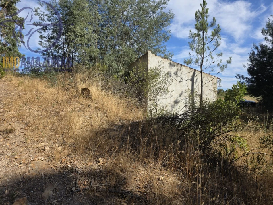 Quinta para Venda em Alferce Foto 13