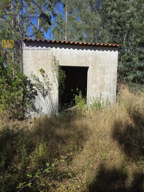 Quinta para Venda em Alferce