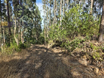 Quinta para Venda em Alferce