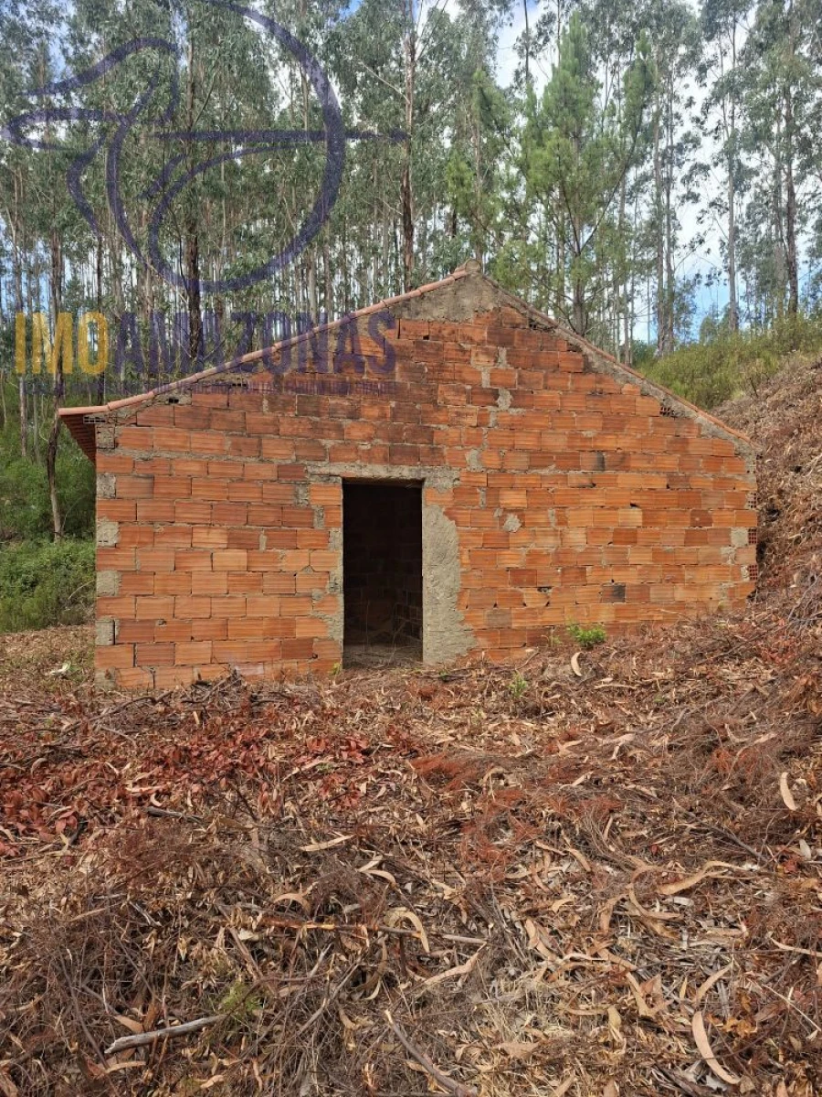Quinta para Venda em Alferce Foto 4