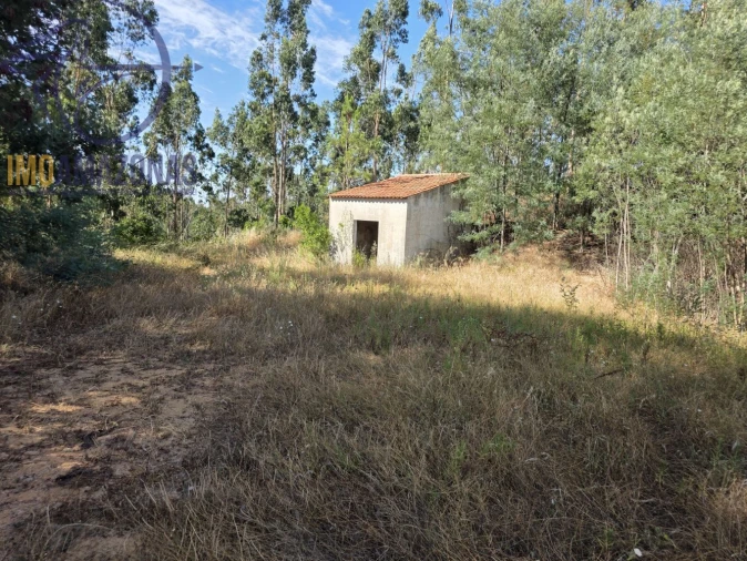 Quinta para Venda em Alferce Foto 15