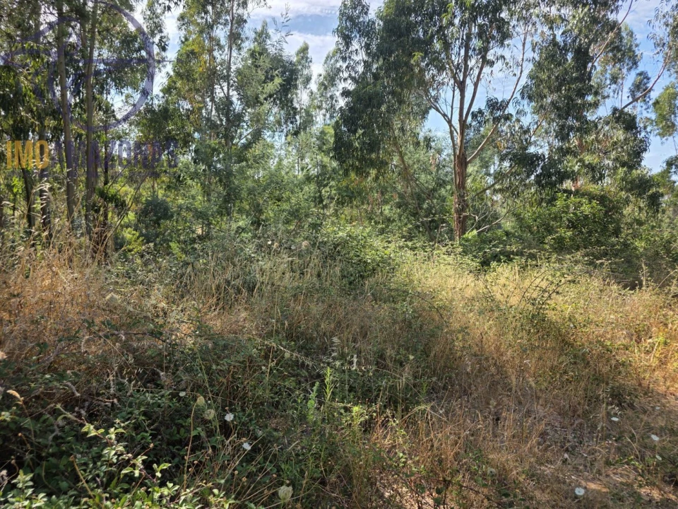 Quinta para Venda em Alferce Foto 8