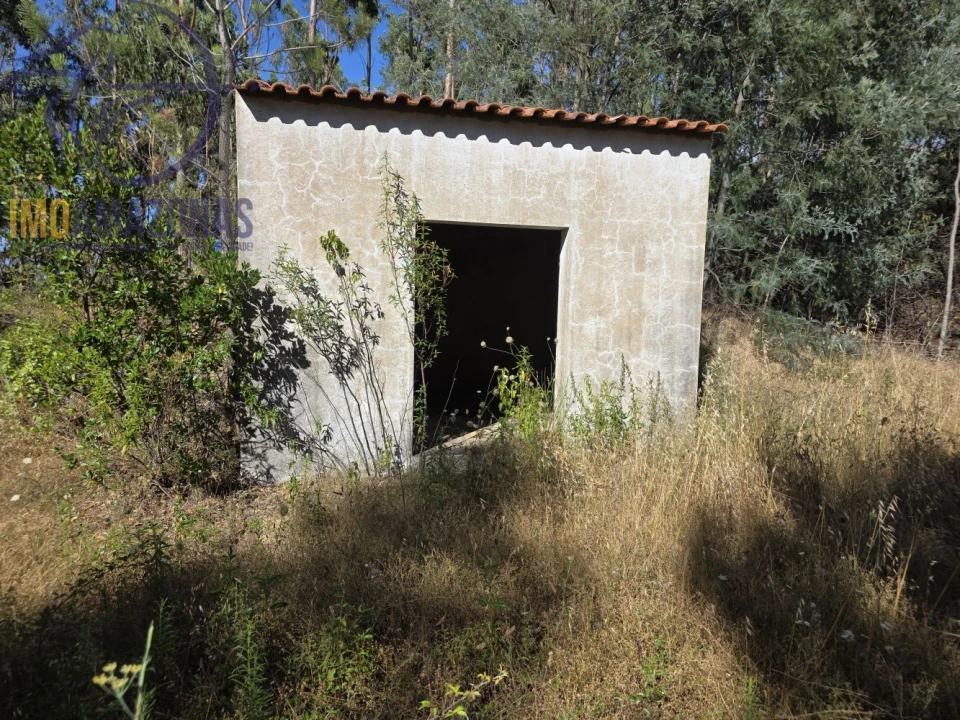Quinta para Venda em Alferce Foto 6