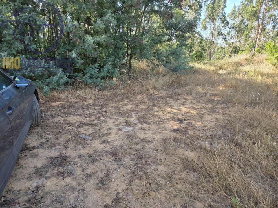 Quinta para Venda em Alferce Foto 16