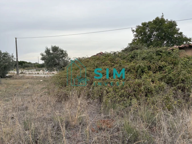 Moradia para Venda em Alcanede Foto 15