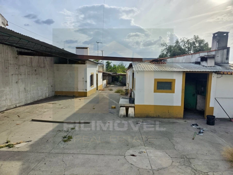Moradia para Venda em Golegã Foto 29