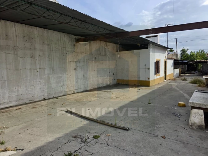 Moradia para Venda em Golegã Foto 42