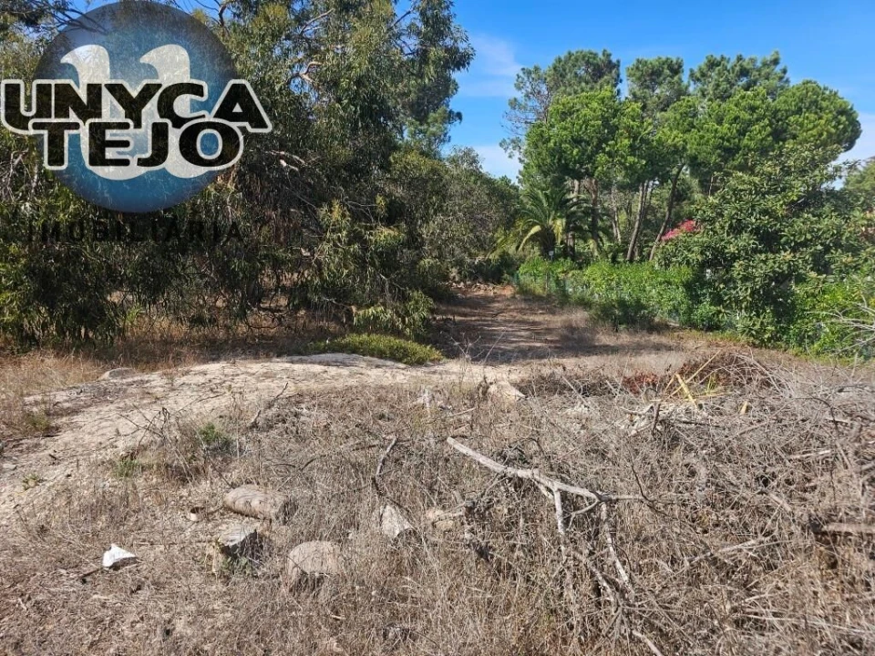 Terreno para Venda em Carvalhal Foto 2