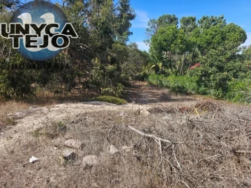 Terreno para Venda em Carvalhal
