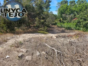 Terreno para Venda em Carvalhal