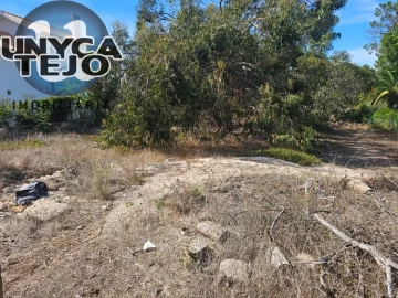 Terreno para Venda em Carvalhal