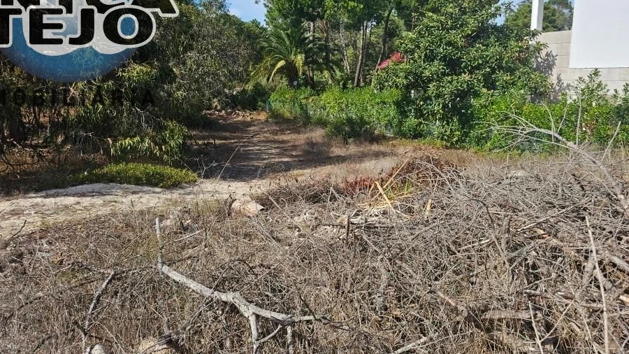 Terreno para Venda em Carvalhal