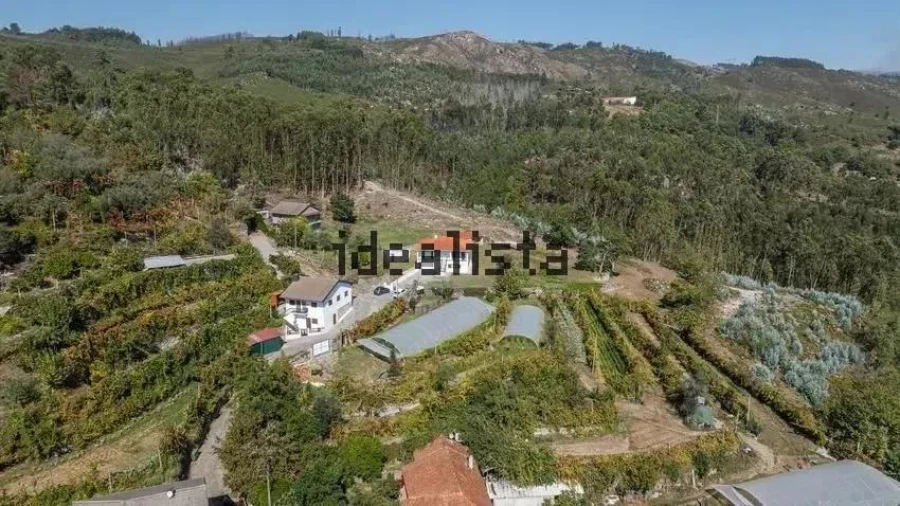 Moradia T3 para Venda em Calvos e Frades Foto 11