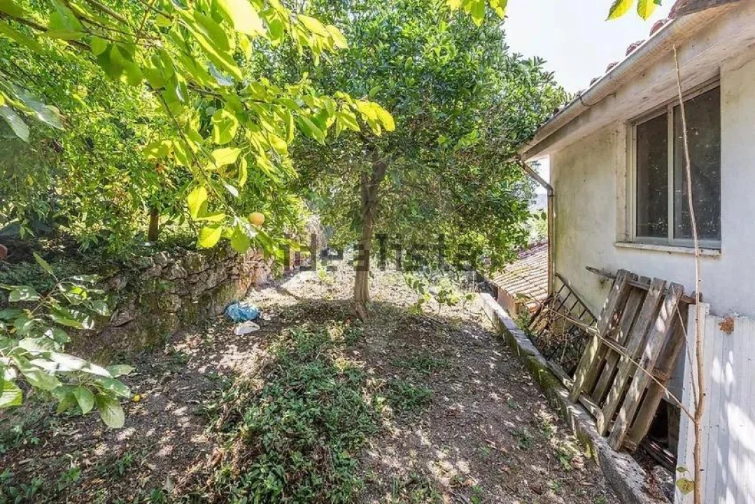 Moradia T3 para Venda em Sobradelo da Goma Foto 16