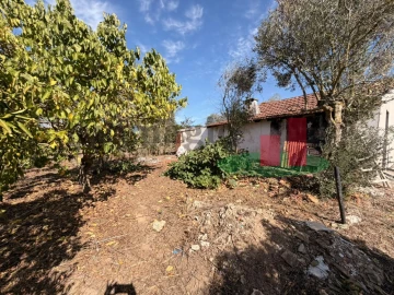 Moradia T2 para Venda em São João da Ribeira e Ribeira de São João