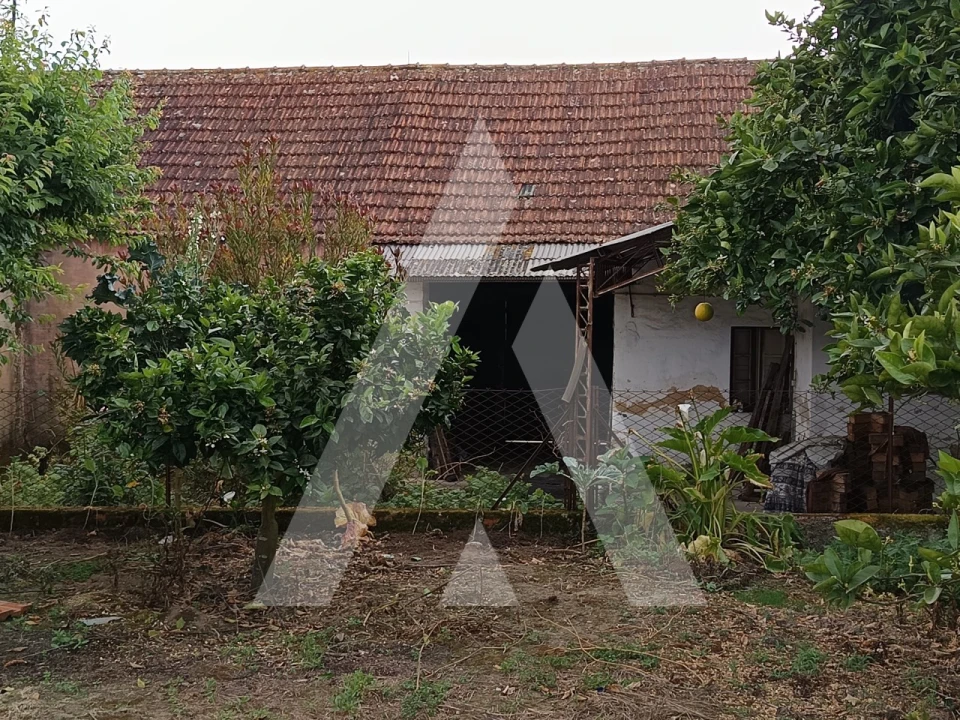 Moradia T4 para Venda em Requeixo, Nossa Senhora de Fátima e Nariz Foto 5