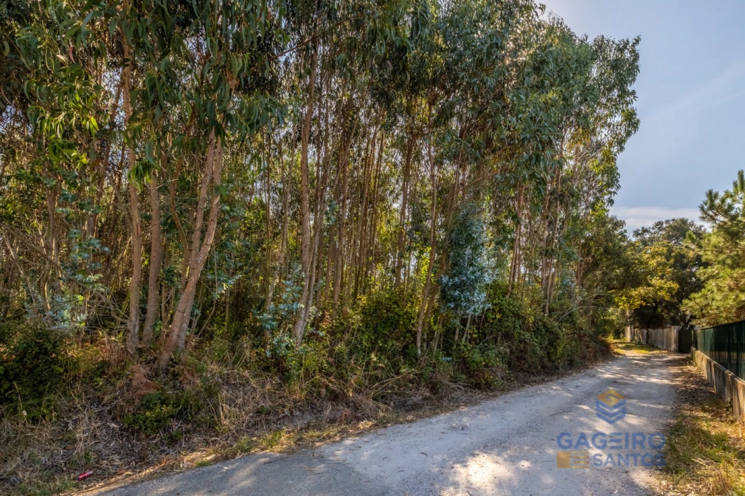 Terreno para Venda em Alfeizerão Foto 8