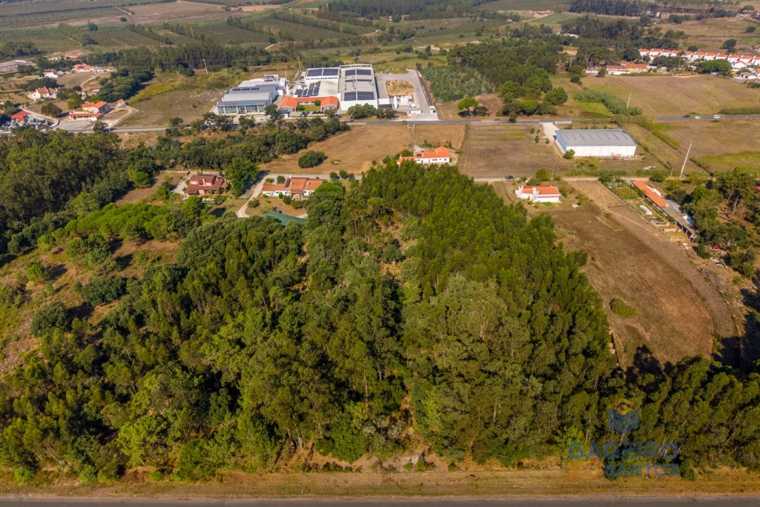 Terreno para Venda em Alfeizerão Foto 9