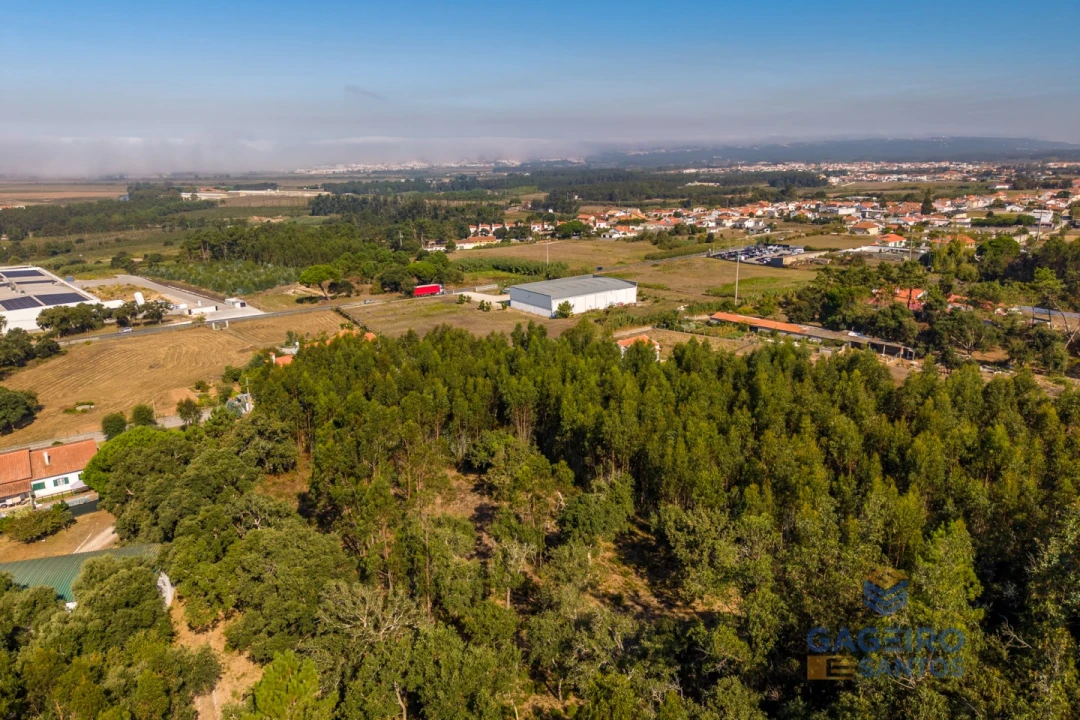 Terreno para Venda em Alfeizerão Foto 11