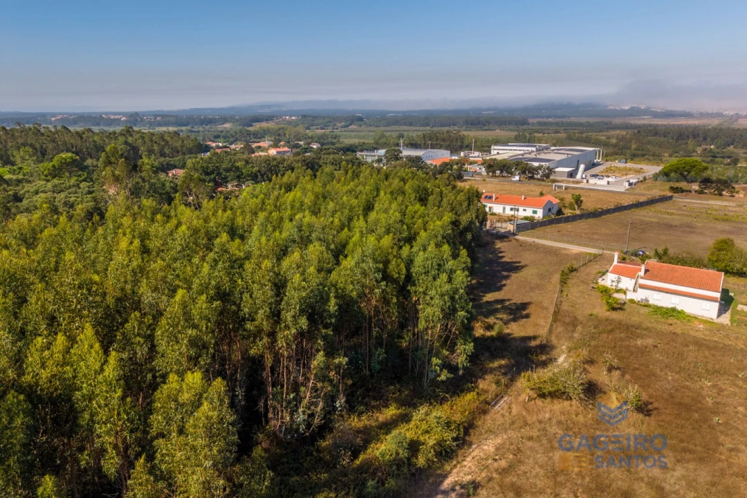 Terreno para Venda em Alfeizerão Foto 12