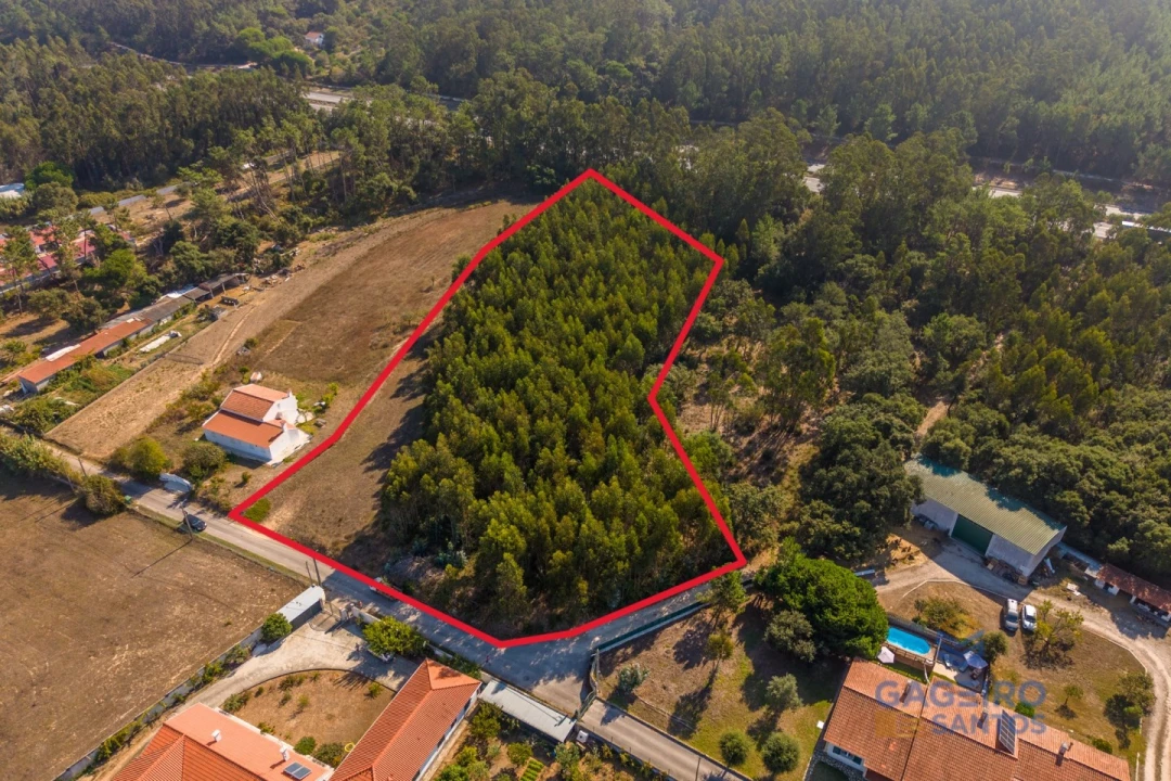Terreno para Venda em Alfeizerão Foto 2