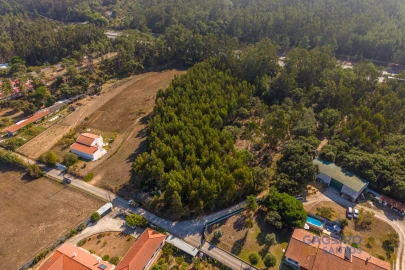 Terreno para Venda em Alfeizerão
