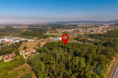 Terreno para Venda em Alfeizerão