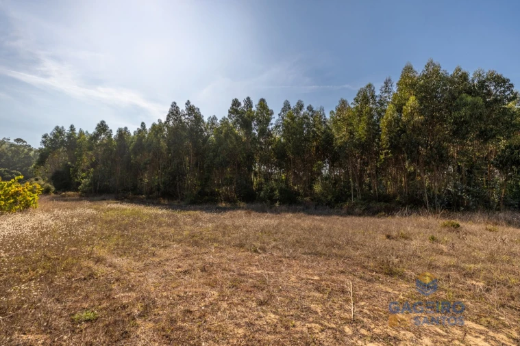 Terreno para Venda em Alfeizerão Foto 3