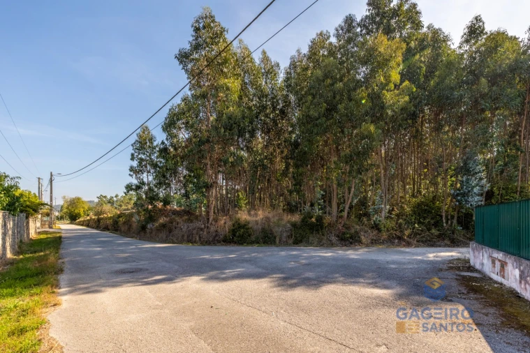 Terreno para Venda em Alfeizerão Foto 6