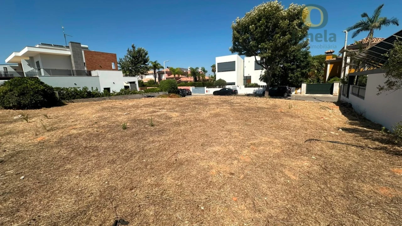 Terreno para Venda em Montenegro Foto 1