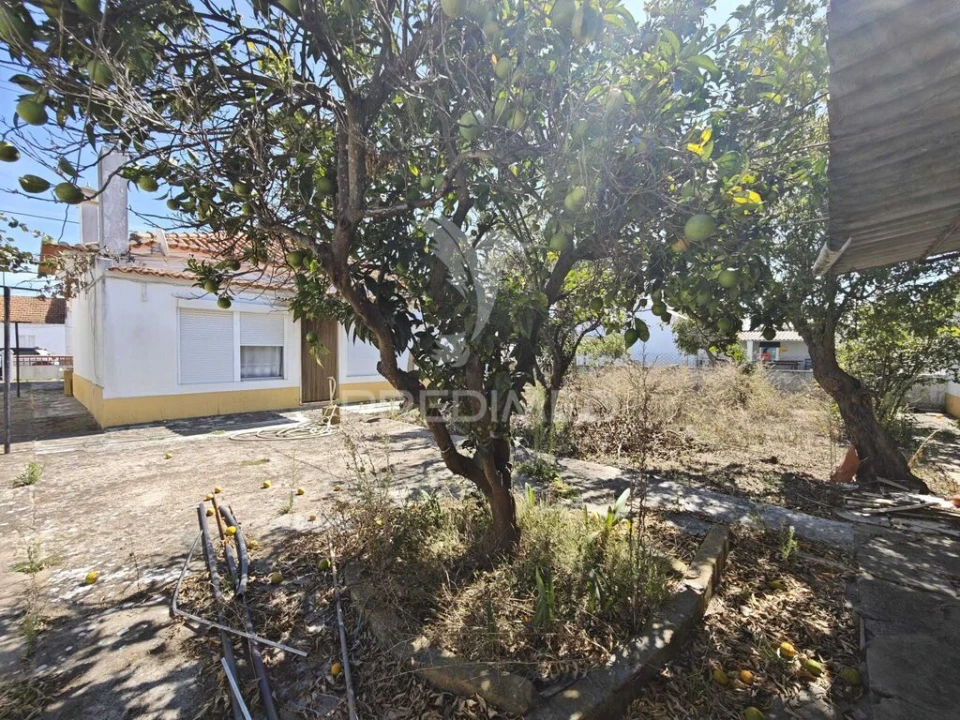 Moradia T3 para Venda em Santo Estêvão Foto 19