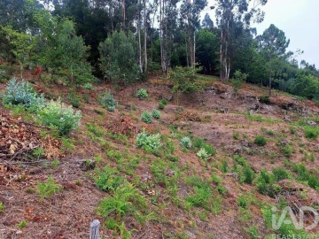 Terreno para Venda em Padreiro (Salvador e Santa Cristina)