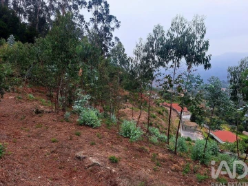 Terreno para Venda em Padreiro (Salvador e Santa Cristina)