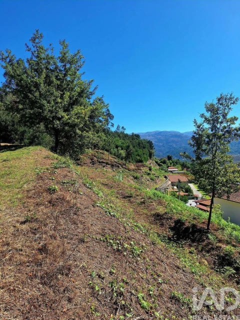 Terreno para Venda em Padreiro (Salvador e Santa Cristina)