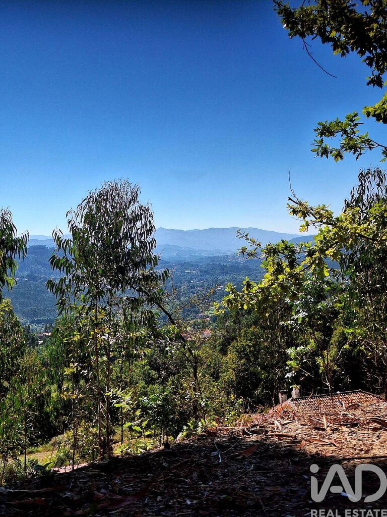 Terreno para Venda em Padreiro (Salvador e Santa Cristina) Foto 6