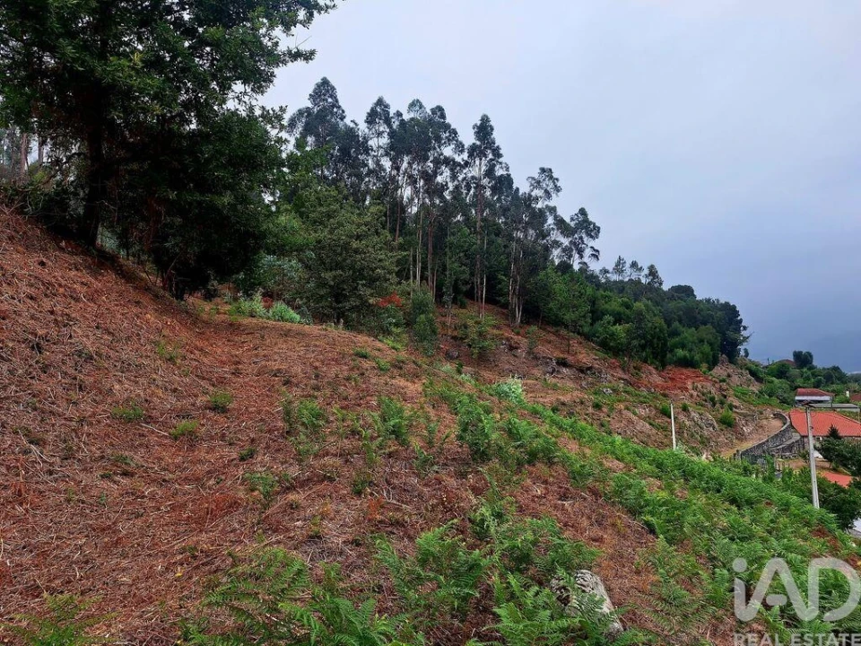 Terreno para Venda em Padreiro (Salvador e Santa Cristina) Foto 7