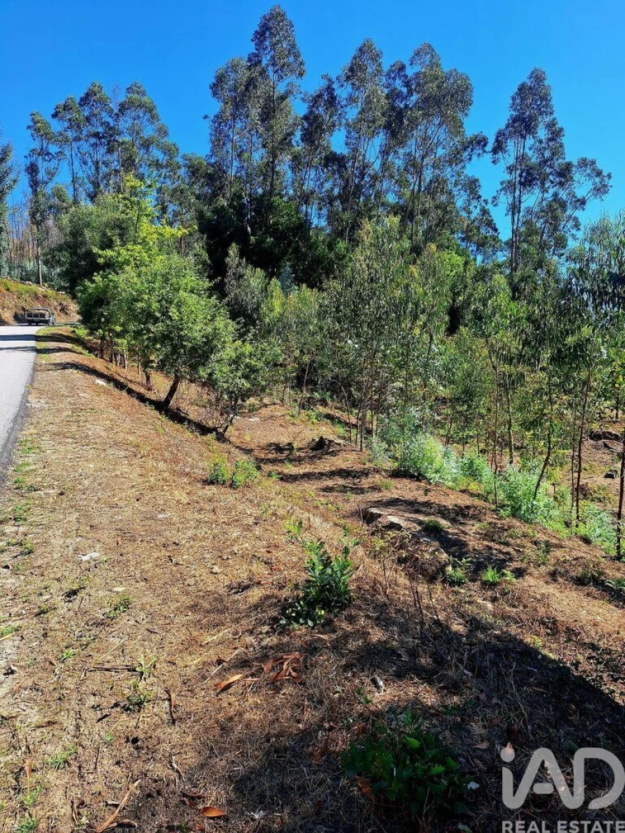 Terreno para Venda em Padreiro (Salvador e Santa Cristina) Foto 4