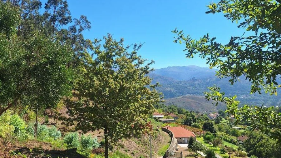 Terreno para Venda em Padreiro (Salvador e Santa Cristina)
