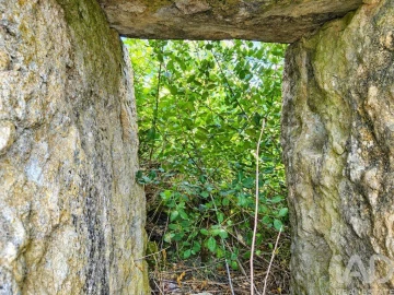 Terreno para Venda em Chãos