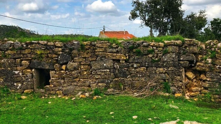 Terreno para Venda em Chãos