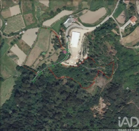 Terreno para Venda em Souselo