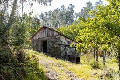 Terreno para Venda em Souselo