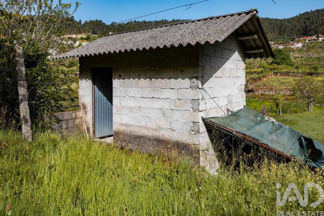 Terreno para Venda em Souselo Foto 14