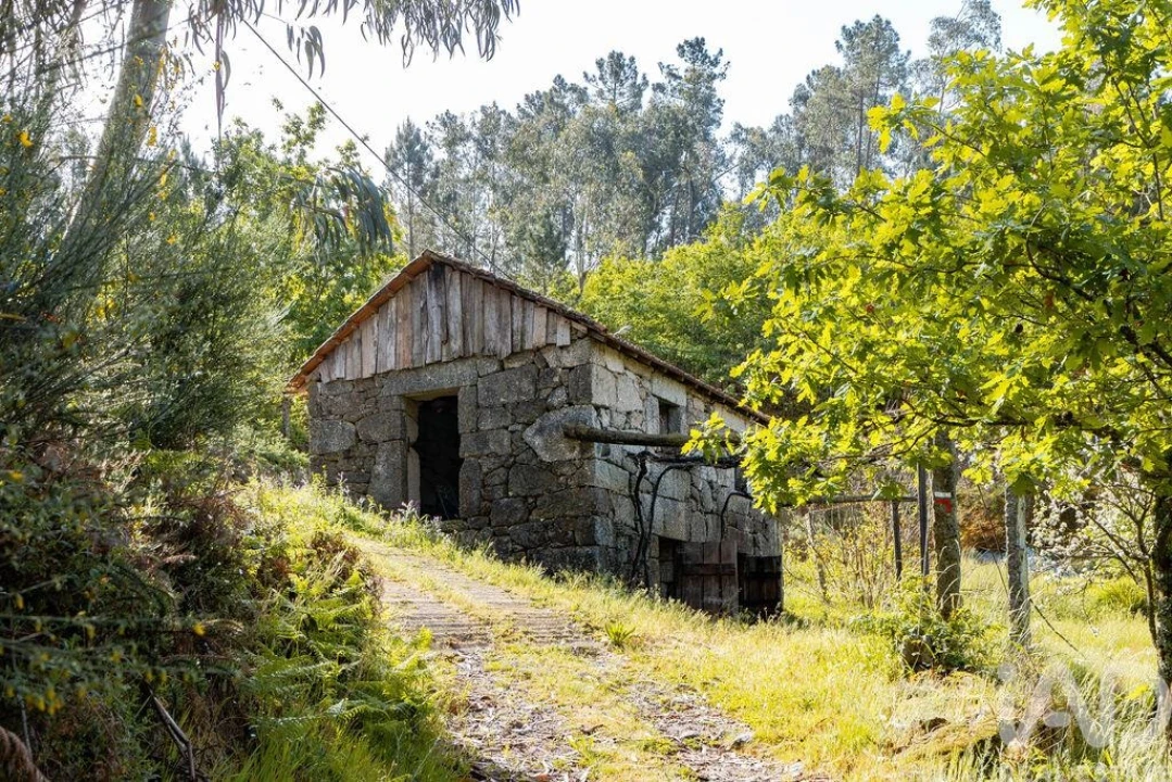 Terreno para Venda em Souselo Foto 9