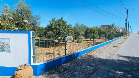 Quinta T3 para Venda em Redondo