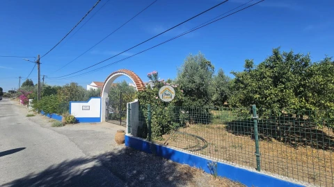 Quinta T3 para Venda em Redondo